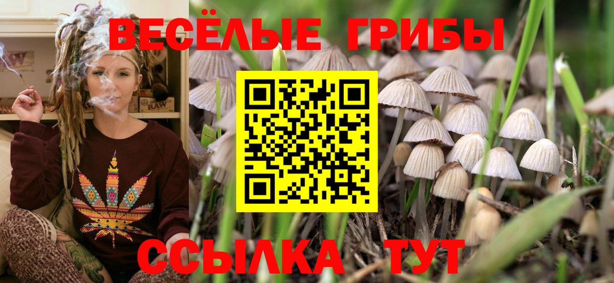 Псилоцибиновые грибы прущие грибы  Псилоцибиновые грибы GOLDEN TEACHER  Майкоп  Вход с VPN 