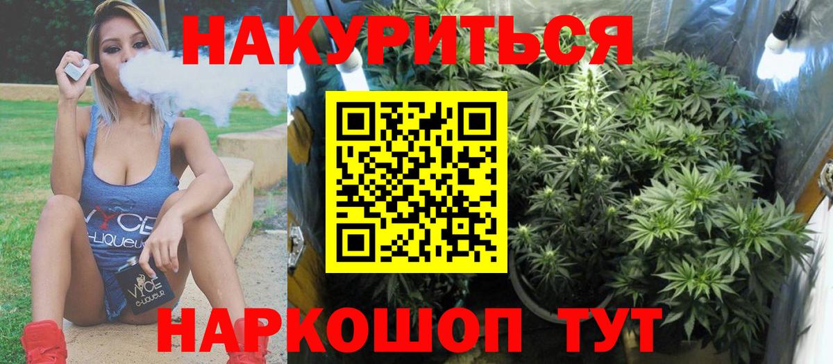 Конопля план  Конопля ГИДРОПОН  Майкоп  Канабис VHQ  Вход с VPN 